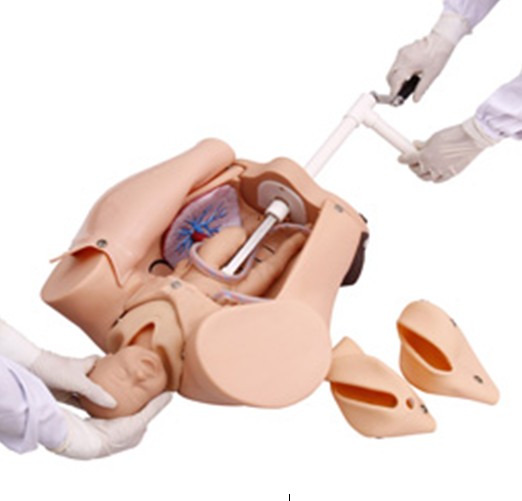 �߼��֓u����C��ʾ��ģ��