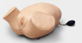 �Ĳ��|�\���ز顢ꎵ��z��Ӗ��ģ��